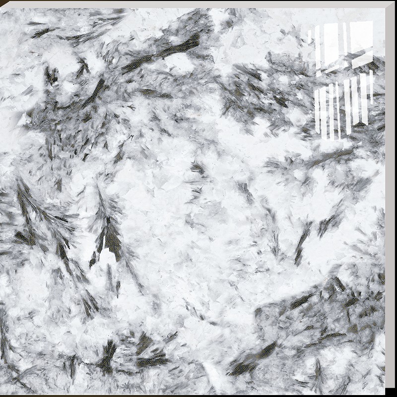 Gilding Dynasty grey marble bathroom floor and wall tiles